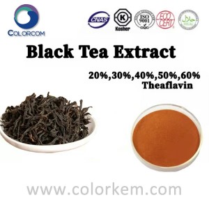 Black Tea Extract | 4670-05-7