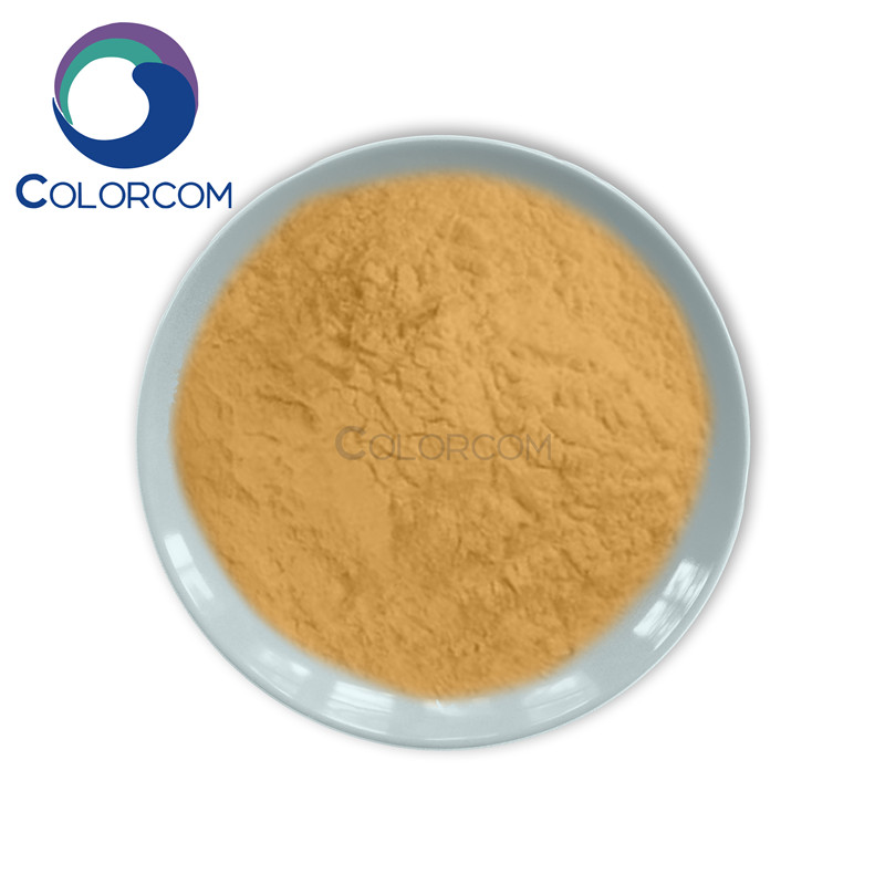 China High Quality L-Lysine Monohydrochloride Factory - Black Tea Extract – COLORKEM