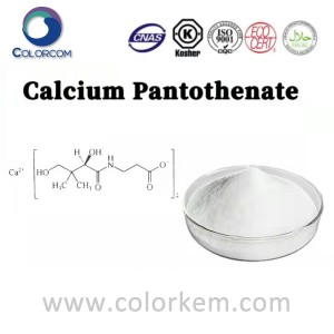 Kalsium Pantothenate |137-08-6