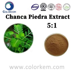 Chanca Piedra ekstrakt