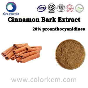 សំបកដើម cinnamon ចម្រាញ់ 20% Proanthocyanidines