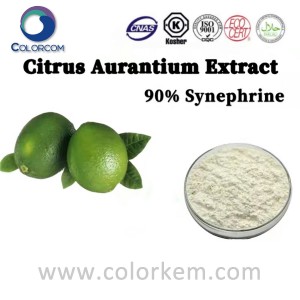 Citrus Aurantium ekstrakt Synephrine |94-07-5
