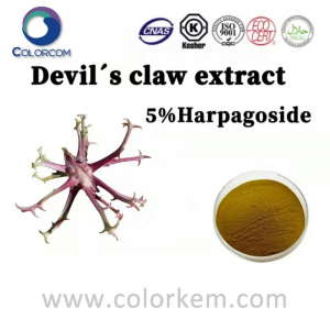 Ekstrak Devil's Claw 5% Harpagoside