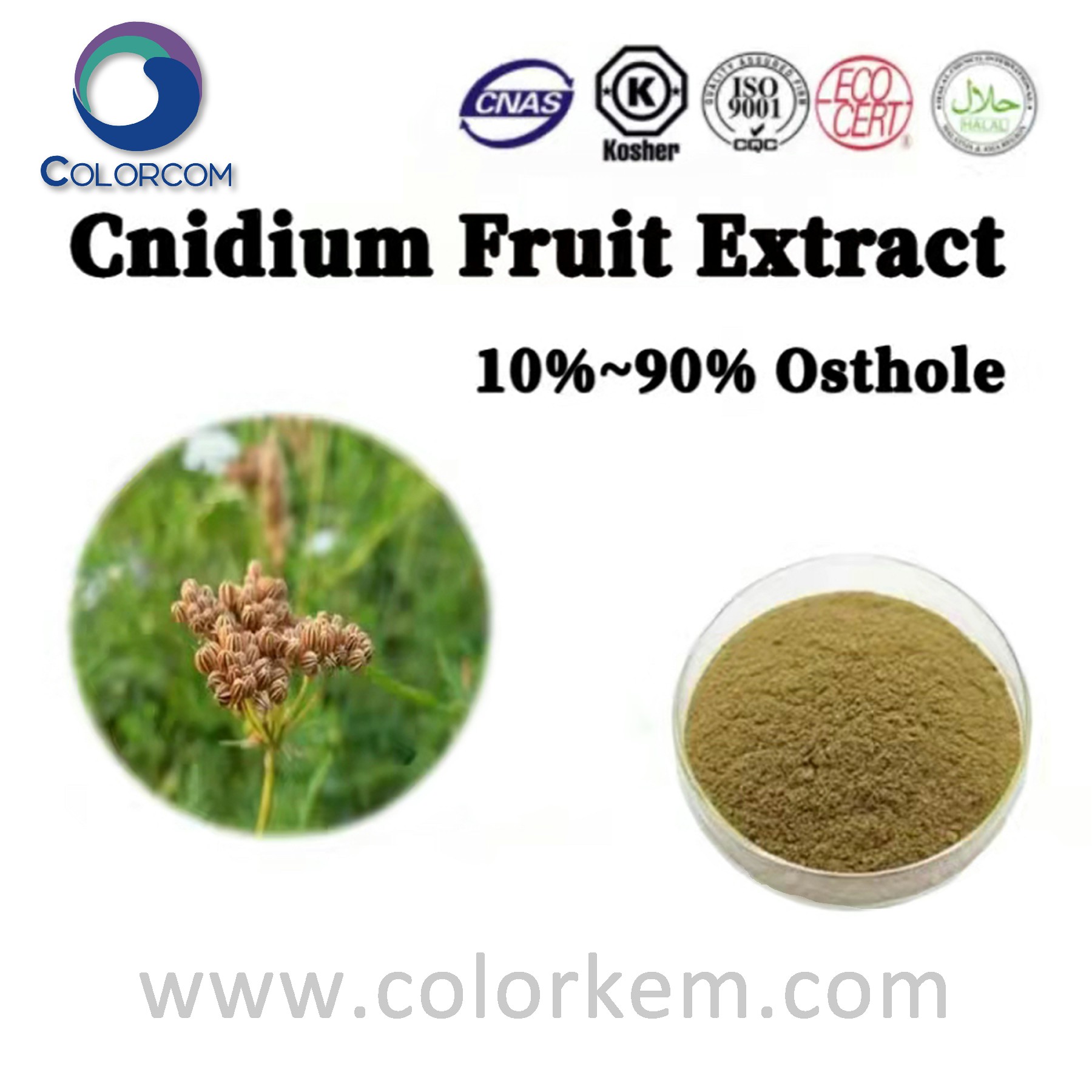 Cnidium fruit extract osthole