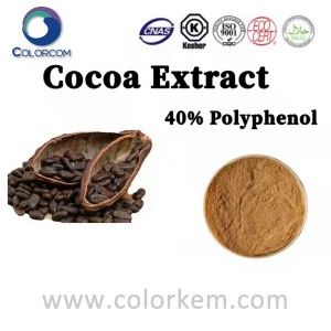 Dondoo ya kakao 40% Polyphenol |884649-99-0