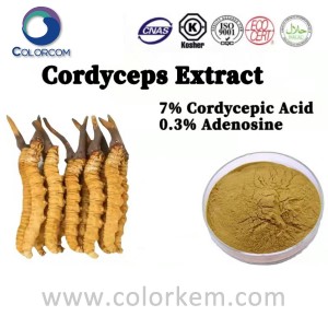 Cordyceps ekstrakt