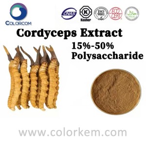 Cordyceps extrakt 15%-50% polysackarid