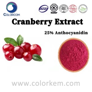 क्रैनबेरी अर्क 25% एंथोसायनिडिन