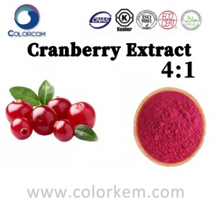 I-Cranberry Extract 4: 1