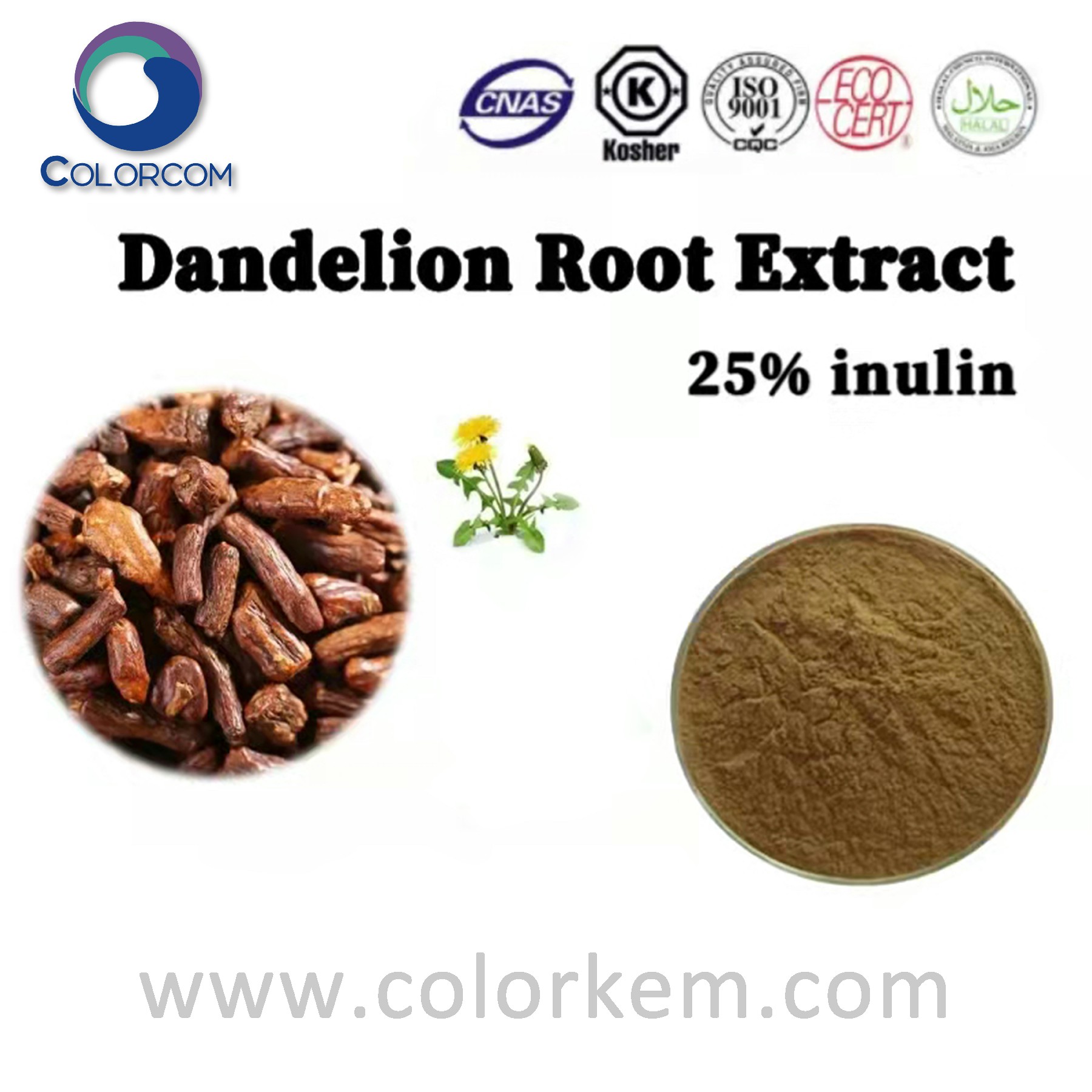 Dandelion root extract inulin