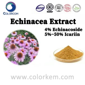 Echinacea-uute |90028-20-9