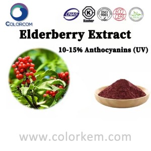 Ekstrak Elderberry 10-15% Anthocyanin (UV)