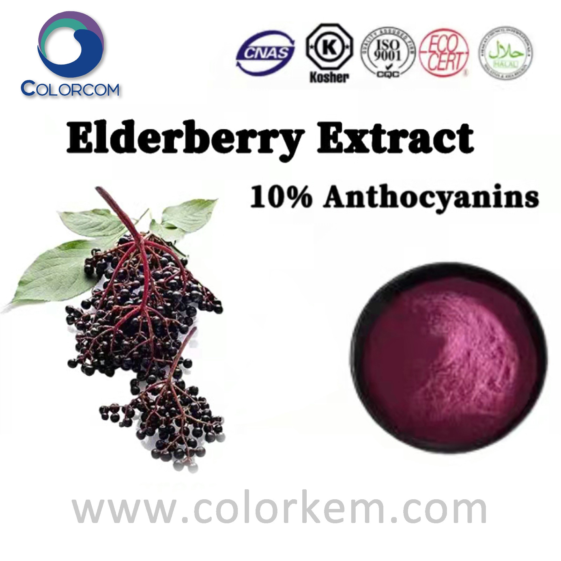 Elderberry Extract 10  Anthocyanins