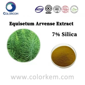 Equisetum Arvense Extract 7 силика |71011-23-9