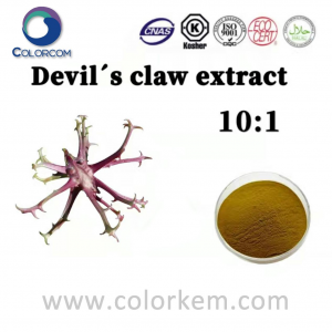 Devil's Claw Extract 10：1