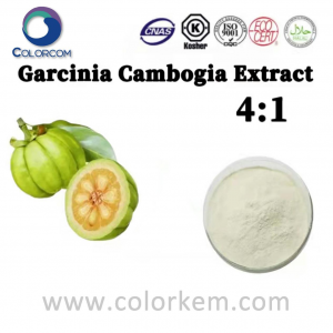 Ekstrak Garcinia Cambogia 4:1 |90045-23-1