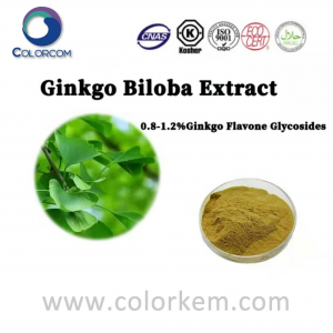 Extracto de Ginkgo Biloba 0,8-1,2% Glicósidos de flavona de Ginkgo |90045-36-6