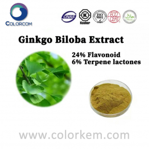 Ginkgo Biloba wepụ 24% Flavonoid 6% Terpene Lactones |90045-36-6