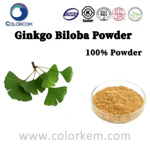 Ginkgo Biloba pulver |90045-36-6
