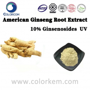 Ginseng kök ekstrakty 10 Ginsenozid |85013-02-1