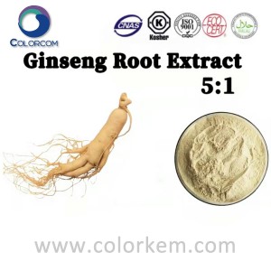 Extracto de raíz de ginseng 5:1 |90045-38-8
