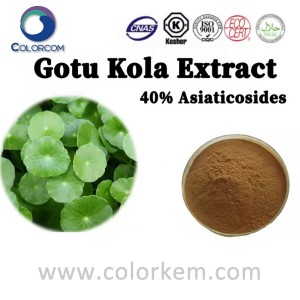 Gotu Kola-uittreksel 40% Asiaticosides |16830-15-2