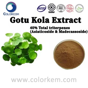 Gotu Kola Extrait 40% Ganzen Triterpenes (Asiaticoside & Madecassoside) |16830-15-2