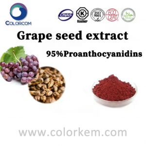 Estratto di semi d'uva 95%Proantocianidine |274678-42-1
