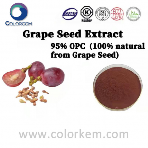 Estratto di semi d'uva 95% OPC