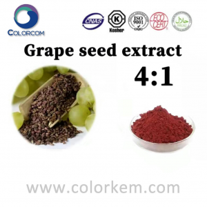 Ekstrakt sjemenki grožđa 4：1 |84929-27-1