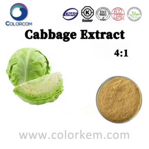 Green Cabbage Extract 4:1 | 89958-12-3