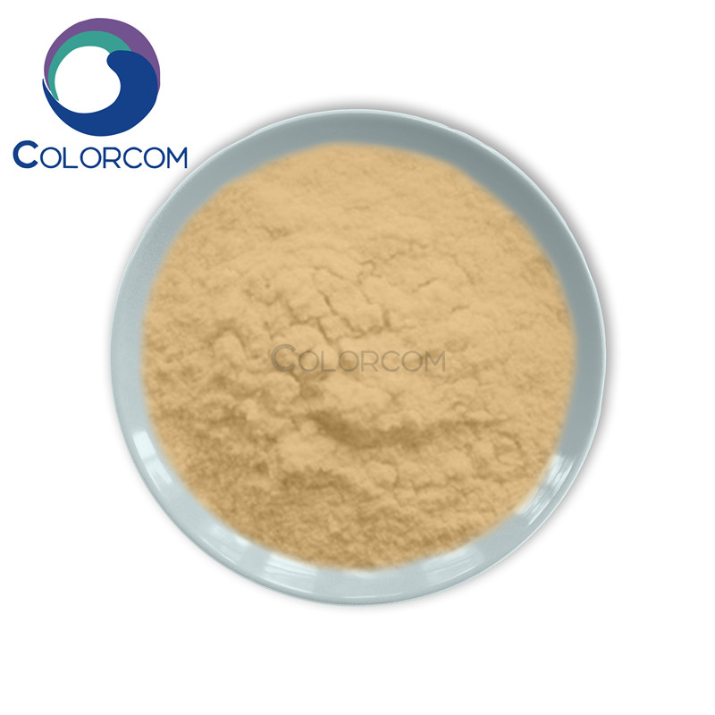 China High Quality Ferrous Sulfate Monohydrate Factories - Green Tea Extract – COLORKEM