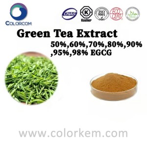 Estratto di tè verde 50%,60%,70%,80%,90%,95%,98% EGCG |84650-60-2