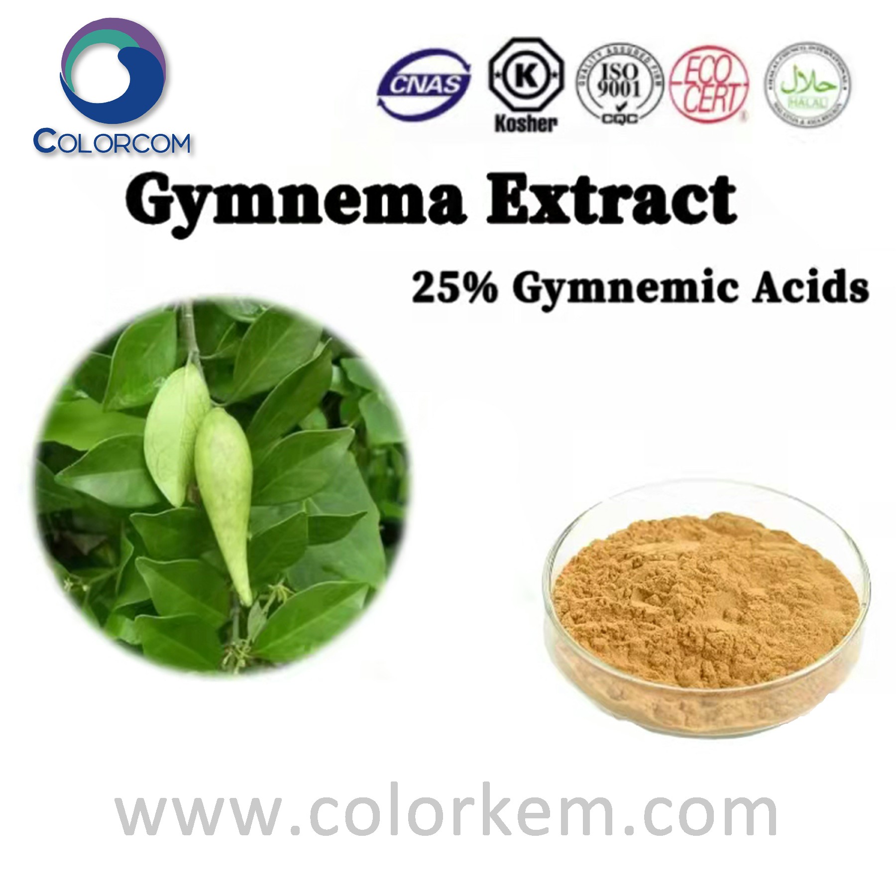 Gymnema extract gymnemic acids