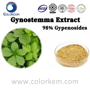 Extracto de Gynostemma 98% Gipenósidos |94987-08-3