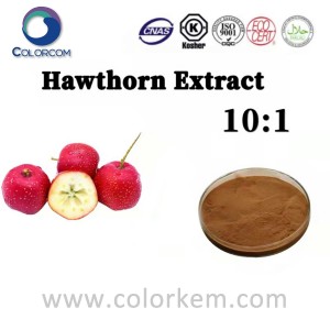 Ekstrak Hawthorn 10：1 |8057-51-0