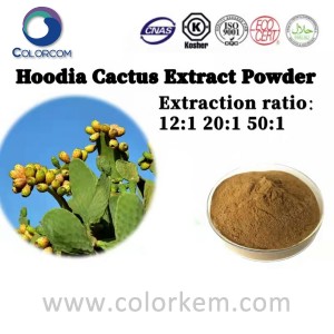 Hoodia kaktus ekstrakt pulver |8007-78-1