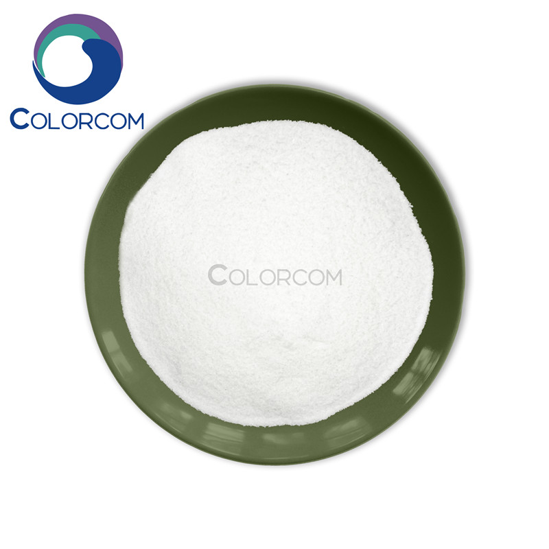 China High Quality Rhubarb Extract Supplier - 6027-23-2 | Hordenine hydrochloride – COLORKEM