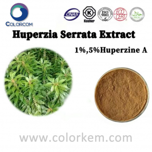 Иқтибос Huperzia Serrata, 1%, 5% Huperzine A