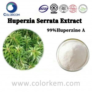 Huperzia Serrata wepụ 99% Huperzine A |102518-79-6