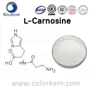 L-Carnosina |305-84-0
