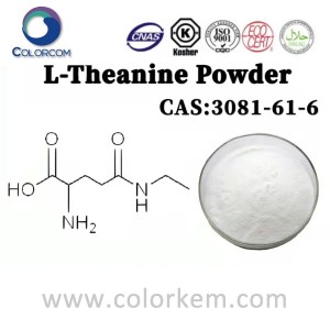 L-Theanine hmoov |3081-61-6