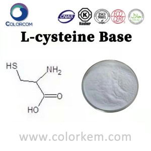 Base de L-cisteína |52-90-4