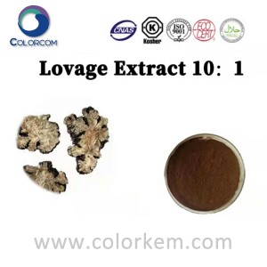 Lovage Extract 10:1
