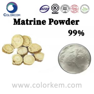 Matrine Powder 99% |519-02-8