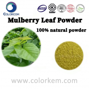 Mulberry Leaf Powder 100% Natural Powder | 400-02-2