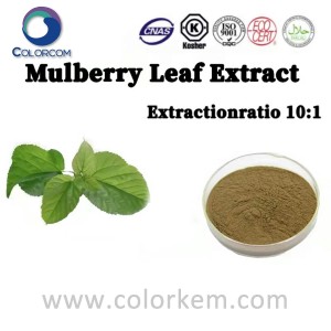 Mulberry Leaf Extract 10:1