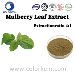 Mulberry Leaf Extract 4:1