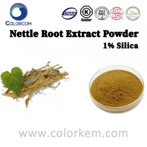 Nettle Root Extract Powder Silika