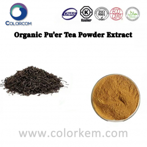 Ekstrakt organskog puer čaja u prahu